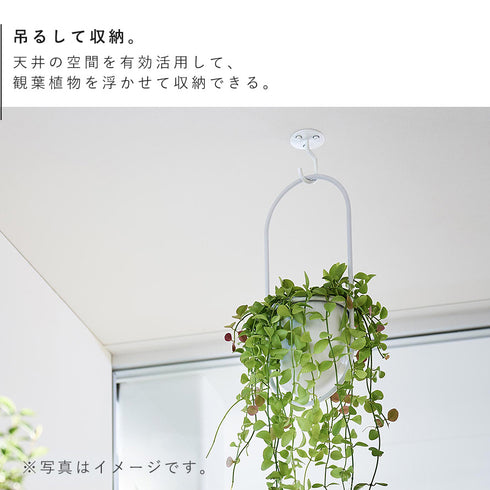 天井から吊り下げできるプランターフック タワー 石こうボード壁対応.|s3